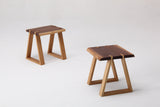 IK19.stool
